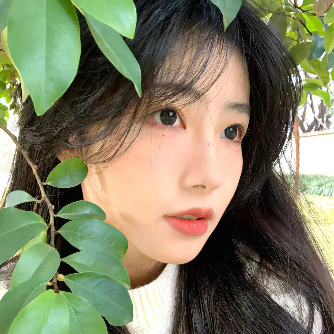 圣母街上的大人物